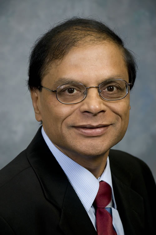 Professor Seshadri Mohan